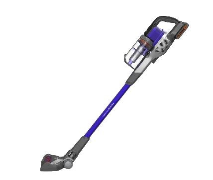 BSV2020P